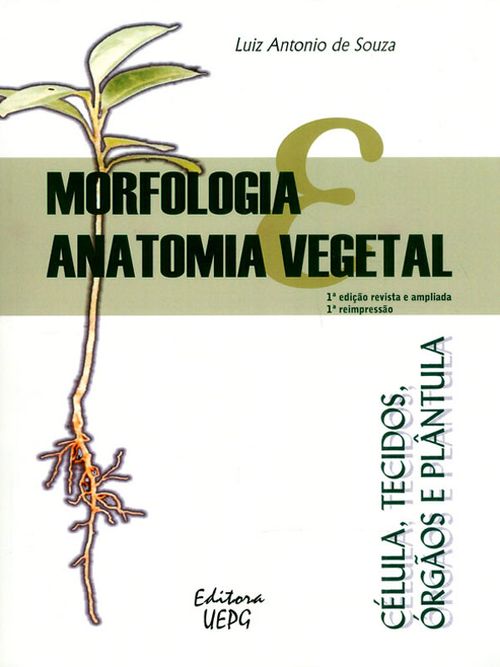 MORFOLOGIA E ANATOMIA VEGETAL CÉLULAS TECIDOS ÓRGíOS E PLNTULA