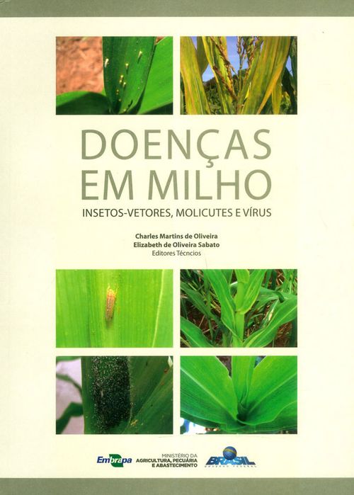 Doenças em milho insetosvetores molicutes e vírus Diseases in maize