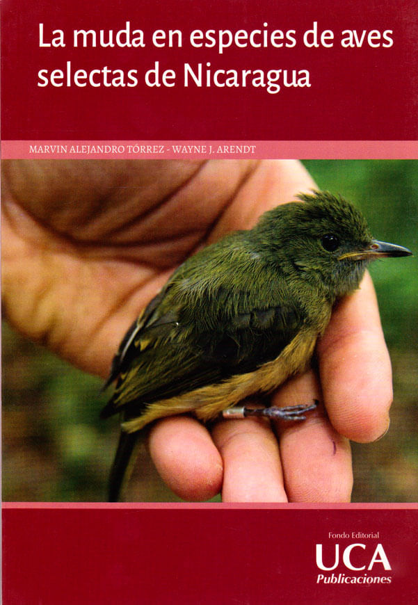 la-muda-en-especies-de-aves-9789992436486-silu-nicaragua