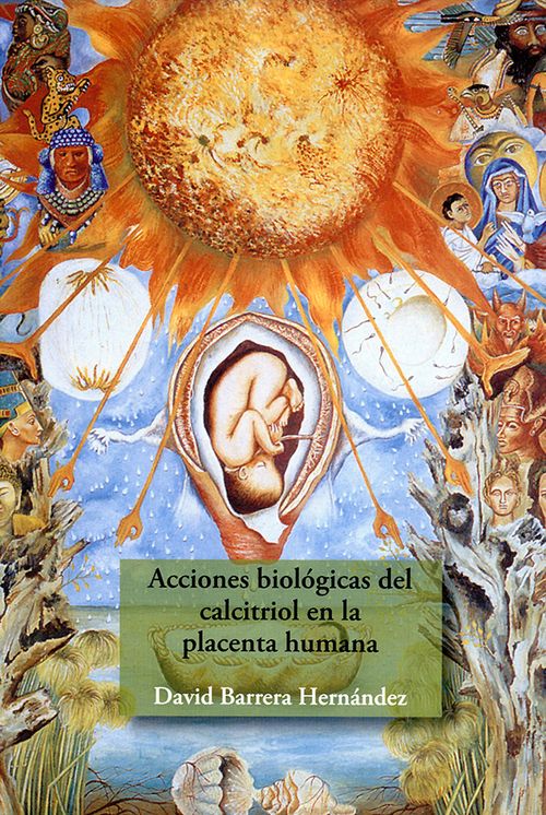 Acciones Biológicas Del Calcitriol En La Placenta Humana