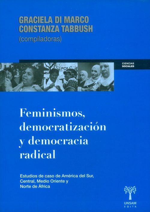 Feminismos  Democratización Y Democracia Radical Estudios De Caso De América Del Sur Central Medio Oriente Y Norte De África
