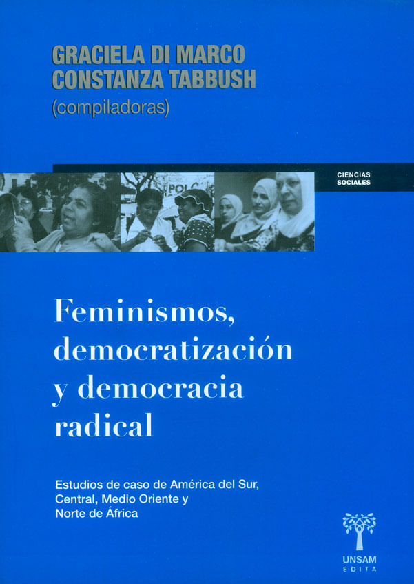 feminismos-democratizacion-y-democracia-9789871435302-argentina-silu