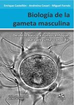 biologia-de-la-gameta-masculina