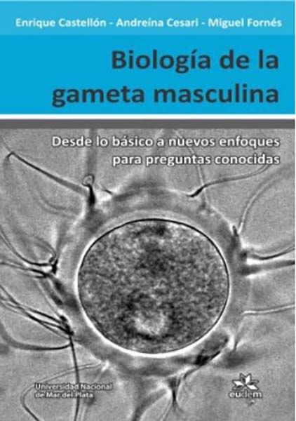 biologia-de-la-gameta-masculina
