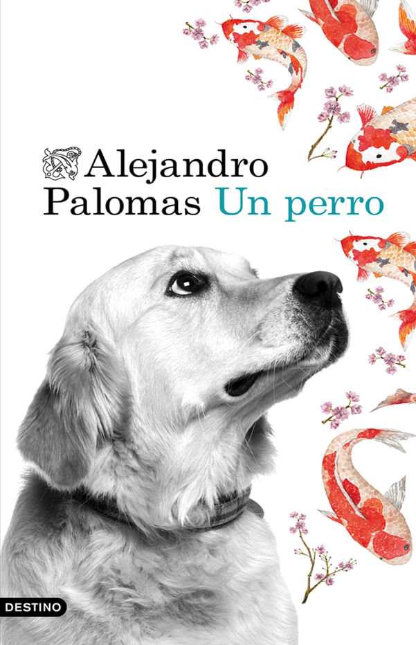 un-perro-9789584262646-plan