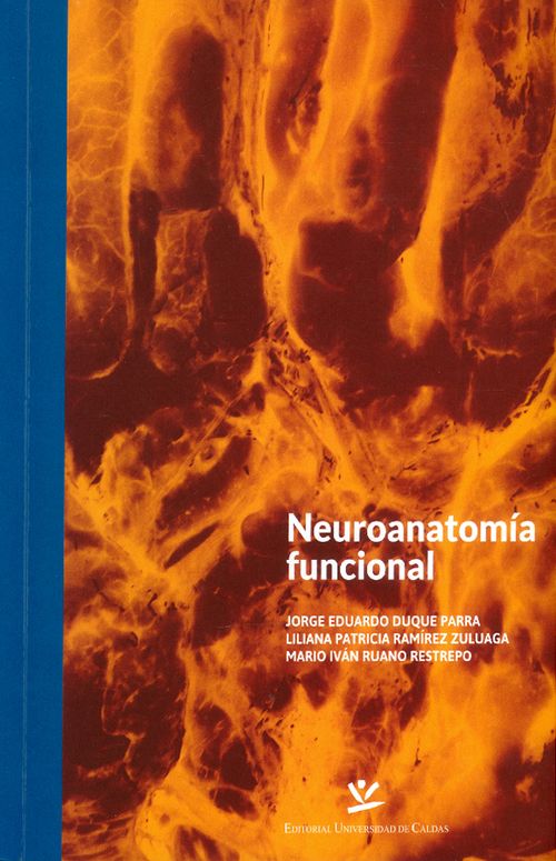 Neuroanatomía funcional
