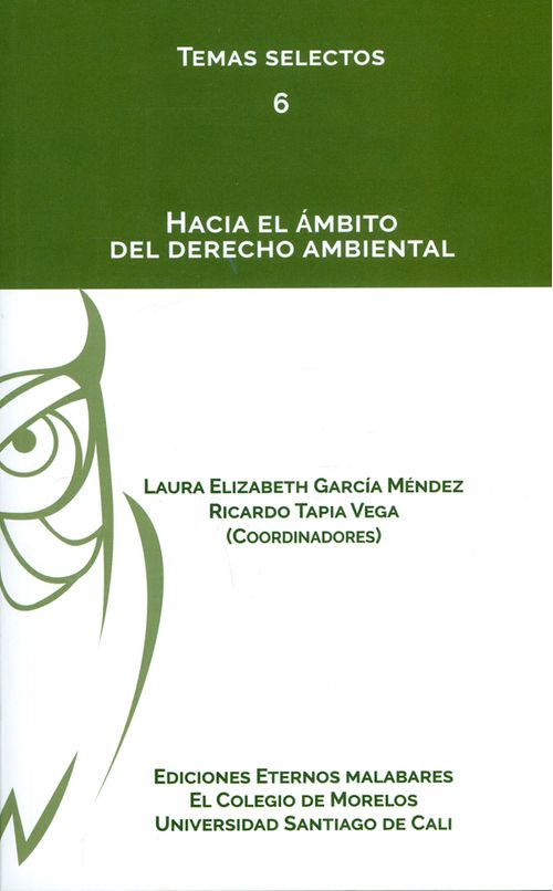 Hacia el ámbito del derecho ambiental Colección Temas selectos N° 6