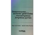 53_determinantes_acciones_uext