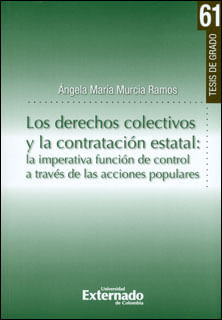 Los derechos colectivos y la contratación estatal la imperativa función de control a través de las acciones populares
