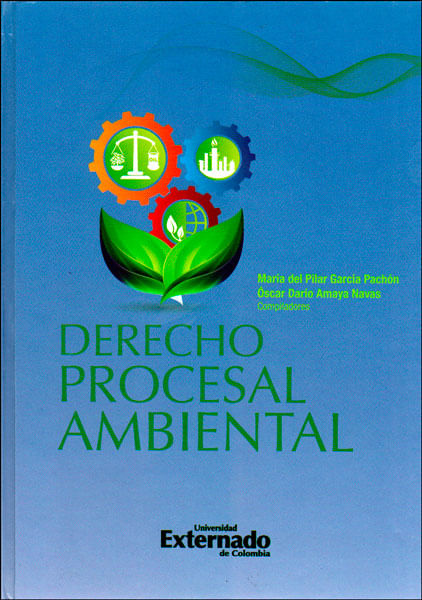 Derecho procesal ambiental