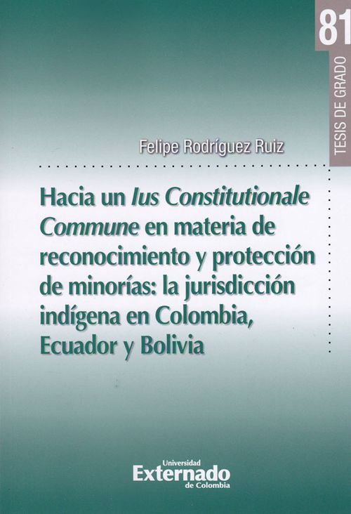 Hacia un lus Constitucionale Commune en materia de reconocimiento y protección de minorías la jurisdicción indígena en Colombia Ecuador y Bolivia
