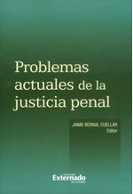 problemas-actuales-de-la-justicia-penal-9789587727364-uext