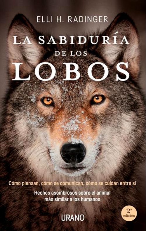 La sabiduría de los lobos Cómo piensan cómo se comunican cómo se cuidan entre sí