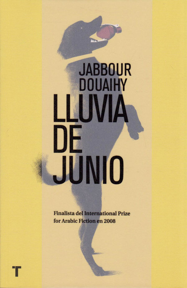 LLUVIA-DE-JUNIO-9788416142651-OCEA