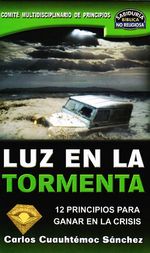 luz-en-la-tormenta-9786077627050-edga