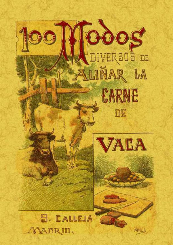 100-modos-diversos-de-aliar-la-carne-de-vaca-frmulas-sencillas-y-prcticas-9788497613422-edga