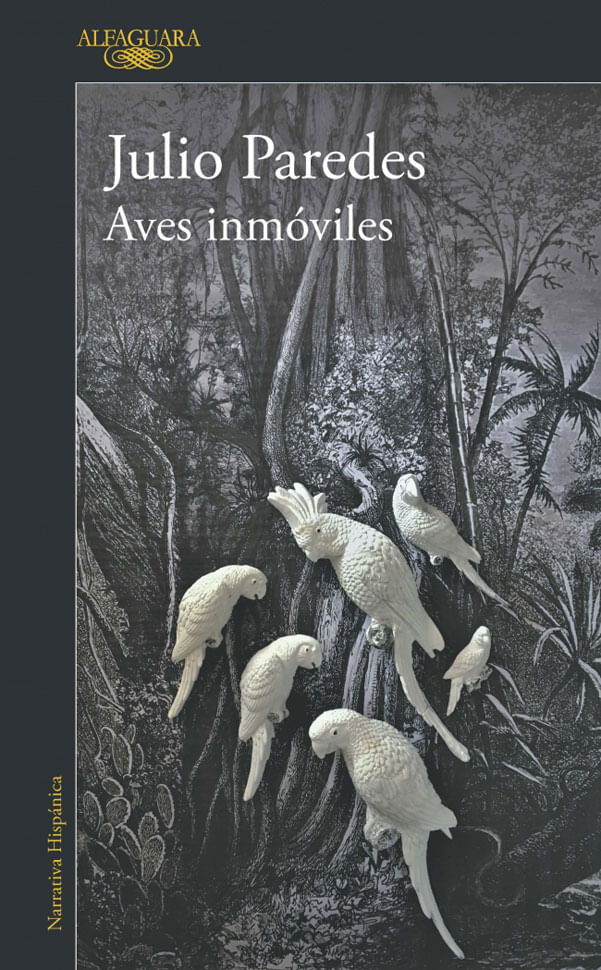 AVES-INMOVILES-9789585496675-RHMC