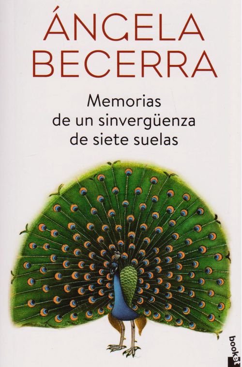 Memorias de un Sinvergüenza de Siete Suelas