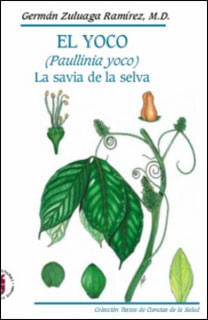 El Yoco Paullinia yoco La savia de la selva