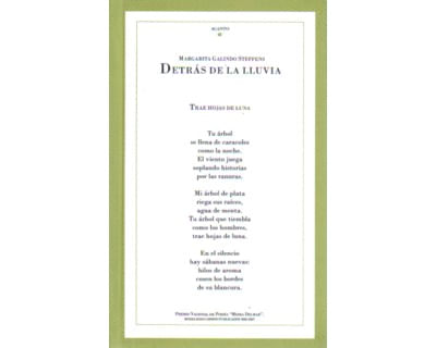 Detrás de la lluvia