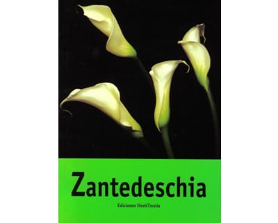 4_zantedeschia_hort