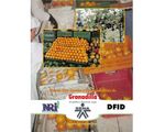 36_granadilla_dida