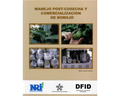 42_borojo_manejo_dida