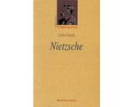 434_nietzsche_dida