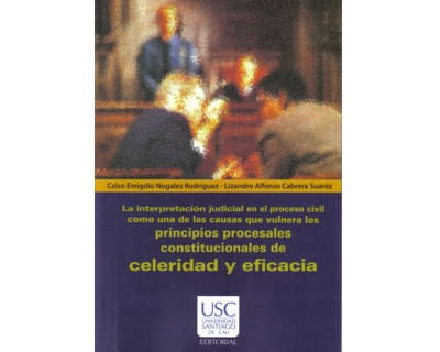 La interpretación judicial en el proceso civil como una de las causas que vulnera los principios procesales constitucionales de celeridad y eficacia