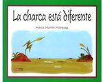 52_charca_diferente_inte