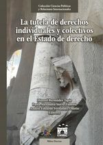 la-tutela-de-derechos-individuales-y-colectivos-en-el-estado-de-derecho-9789585284838-sess