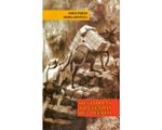 32_historia_leyenda_usib