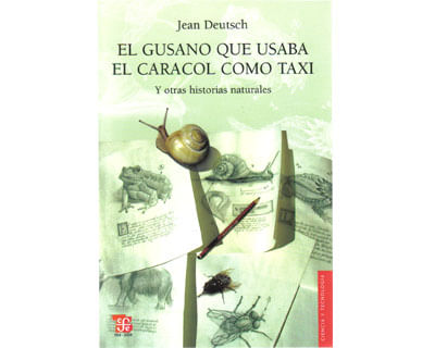 465_gusano_usaba_caracol_foce