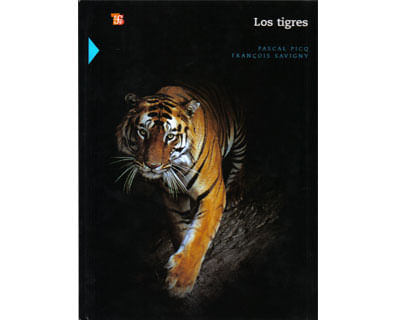 466_tigres_foce