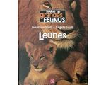 456_felinos_foce