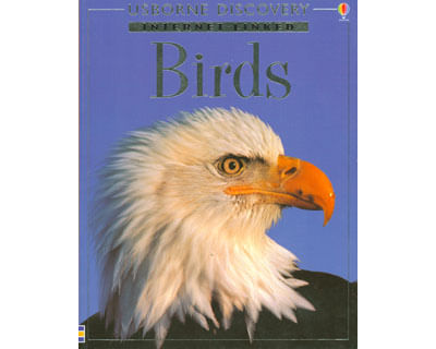 1565_birds_prom
