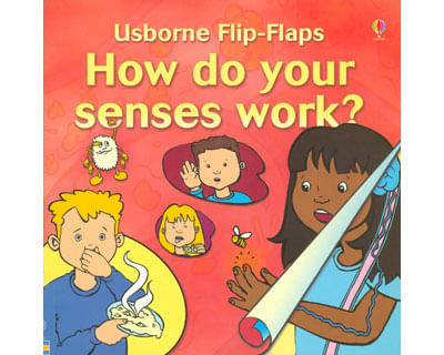 1595_how_do_your_senses_prom