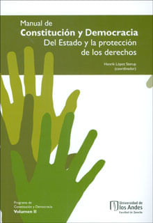 Manual de Constitución y Democracia Del Estado y la protección de los derechos Volumen II