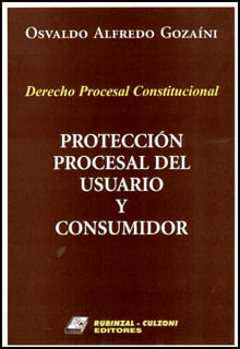 404_derecho_procesal_proteccion_inte