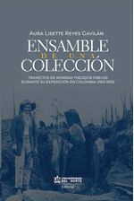 ensamble-de-una-coleccion-9789587890624-uden