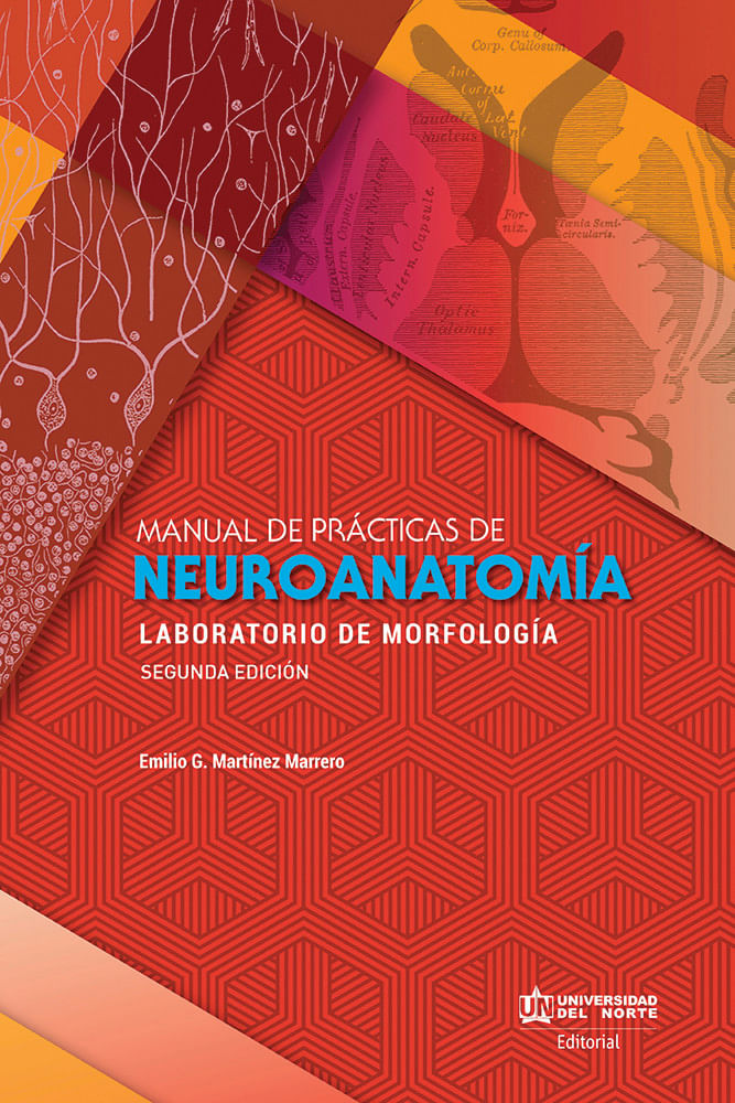 manual-de-practicas-de-neuroanatomia-9789587414882-uden