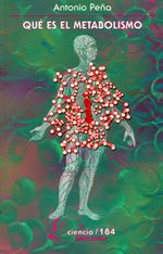 1126_que_es_el_metabolismo_foce