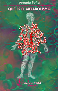 1126_que_es_el_metabolismo_foce