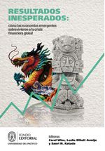 resultados-inesperados-como-las-economias-emergentes-sobrevivieron-a-la-crisis-financiera-global-9789972574153-peru-silu