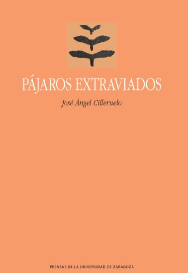 Pájaros Extraviados