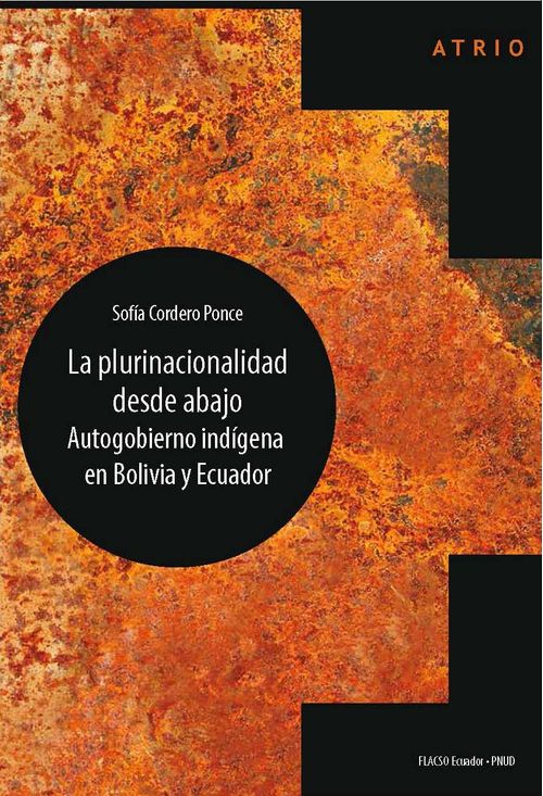 La Plurinacionalidad Desde Abajo Autogobierno Indígena En Bolivia Y Ecuador