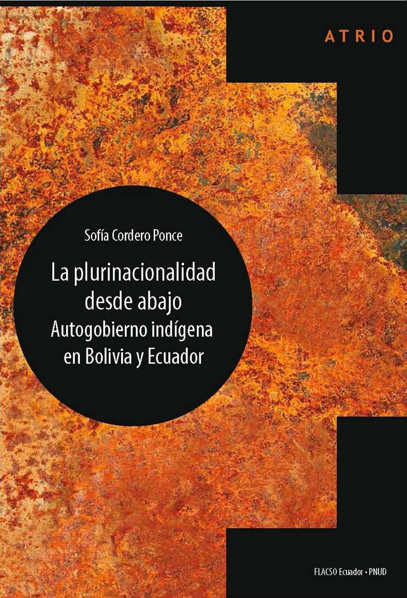 la-plurinacionalidad-desde-abajo-autogobierno-indigena-en-bolivia-y-ecuador-ecuador-silu