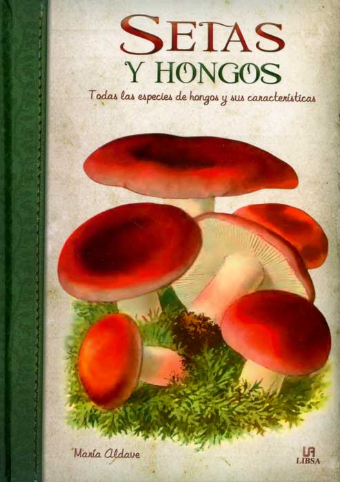 Setas y hongos: todas las especies de hongos y sus características