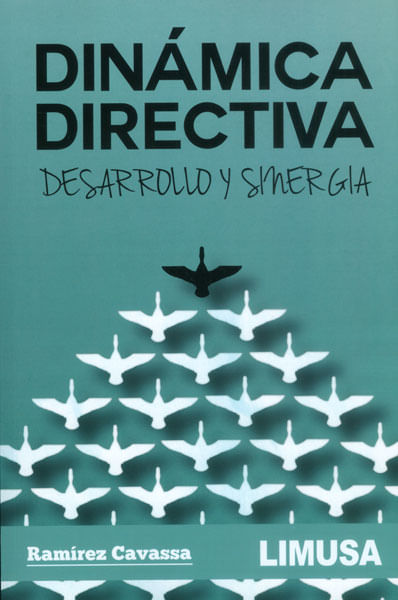 Dinámica directiva Desarrollo y sinergia
