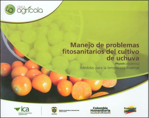 Manejo de problemas fitosanitarios del cultivo de uchuva Physalis peruviana L Medidas para la temporada invernal